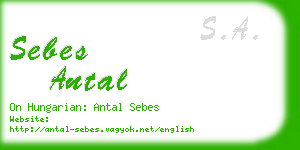 sebes antal business card